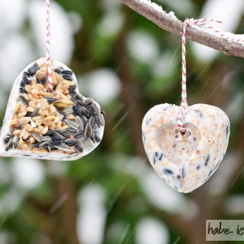 Einfache Anleitung: Vogelfutter selbst gemacht für die Wintermonate Einfache Anleitung: Vogelfutter selbst gemacht für die Wintermonate