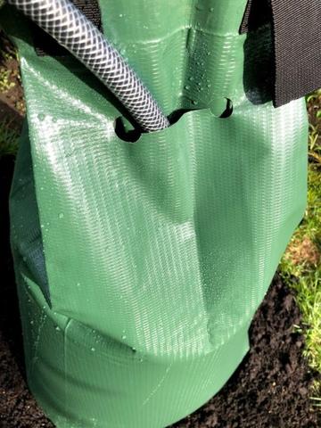 Rettung für durstige Bäume: Ein DIY-Wassersack zum Selbermachen