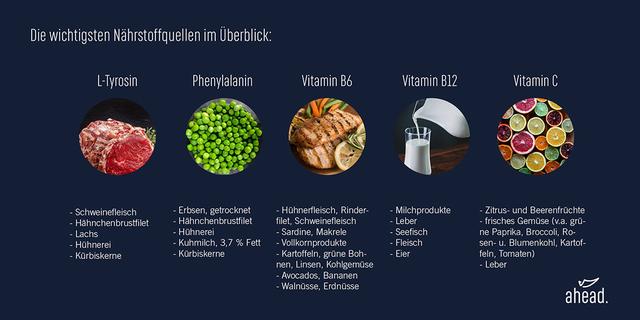 Die Bedeutung der Dopamin-Freisetzung für unser Essverhalten Die Bedeutung der Dopamin-Freisetzung für unser Essverhalten