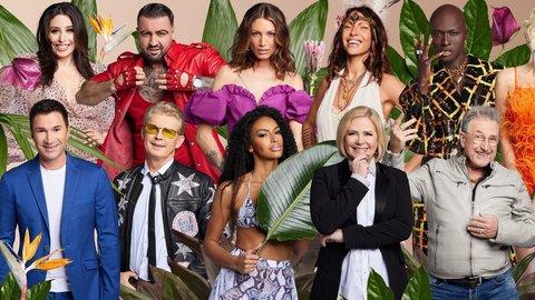 Das große Finale im Dschungelcamp 2023: Wann ist es endlich so weit? Das große Finale im Dschungelcamp 2023: Wann ist es endlich so weit?