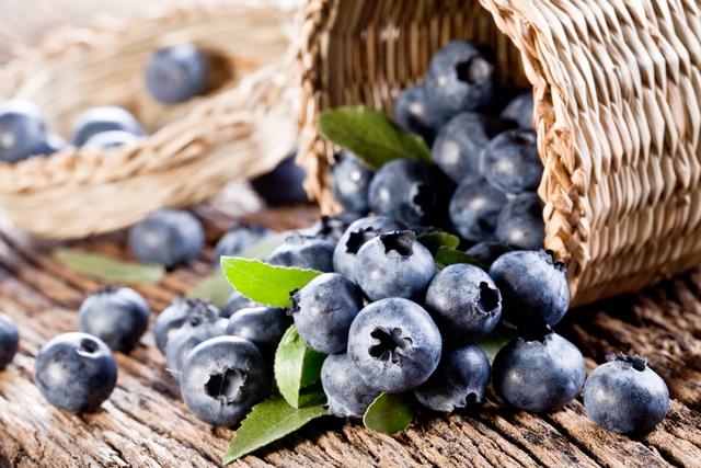 2. Die gesundheitlichen Vorteile von Blaubeeren für Hunde 2. Die gesundheitlichen Vorteile von Blaubeeren für Hunde