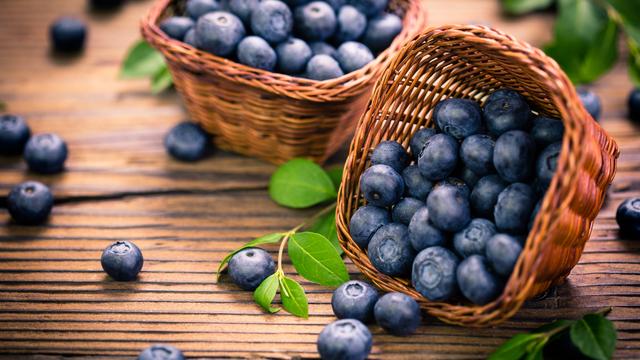Gesundheitsvorteile von Blaubeeren für Hunde: Darf man sie füttern? Gesundheitsvorteile von Blaubeeren für Hunde: Darf man sie füttern?