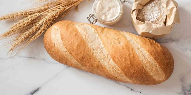 Die richtige Ernährung für deinen Hund: Mehr als nur Brot Die richtige Ernährung für deinen Hund: Mehr als nur Brot