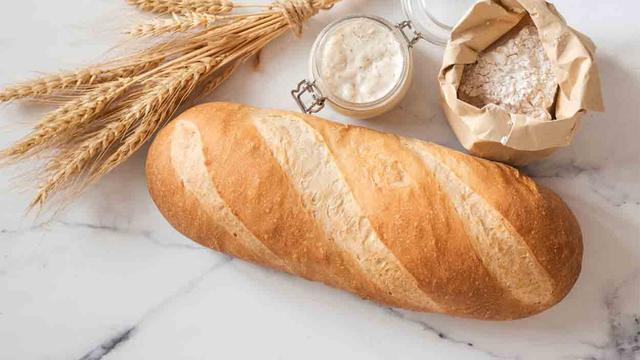 Ist Brot für Hunde geeignet? Alles, was du wissen musst Ist Brot für Hunde geeignet? Alles, was du wissen musst