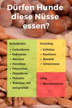 Gesundheitliche Risiken: Was tun, wenn der Hund Erdnüsse gefressen hat? Gesundheitliche Risiken: Was tun, wenn der Hund Erdnüsse gefressen hat?