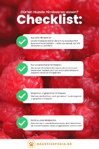 Sicherheitshinweise: Wie viele Himbeeren dürfen Hunde essen? Sicherheitshinweise: Wie viele Himbeeren dürfen Hunde essen?