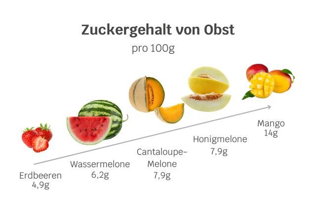 Melonen und Hunde: Welche Teile sind sicher und welche nicht? Melonen und Hunde: Welche Teile sind sicher und welche nicht?