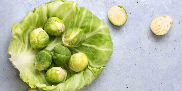 Rosenkohl im Hundenapf: Vor- und Nachteile für deinen Vierbeiner Rosenkohl im Hundenapf: Vor- und Nachteile für deinen Vierbeiner