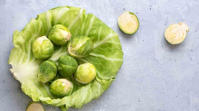 Sollten Hunde Rosenkohl essen? Experten klären auf Sollten Hunde Rosenkohl essen? Experten klären auf