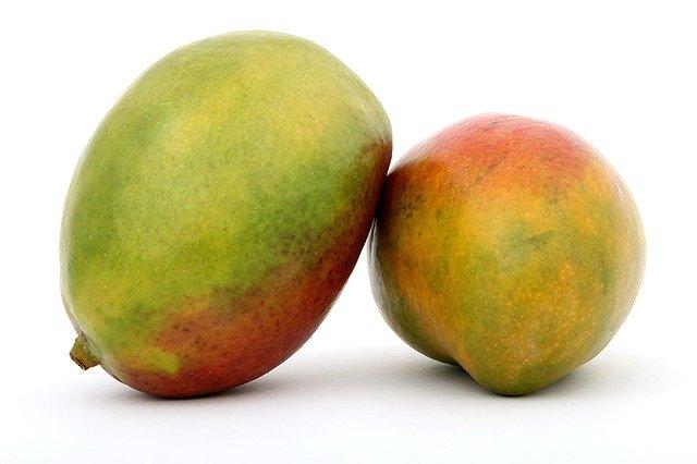 Gesundheitliche Auswirkungen von Mangos auf Meerschweinchen: Was du beachten solltest Gesundheitliche Auswirkungen von Mangos auf Meerschweinchen: Was du beachten solltest