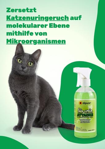 Natürliche Methoden zur Beseitigung von Katzenuringeruch: Spart Geld und schont die Umwelt Natürliche Methoden zur Beseitigung von Katzenuringeruch: Spart Geld und schont die Umwelt