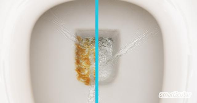 Urinstein vorbeugen und entfernen: Nützliche Ratschläge für ein hygienisches Badezimmer