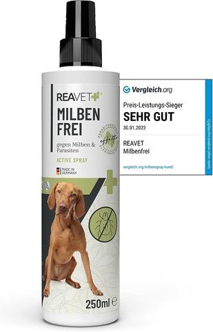 Effektive Mittel zur Bekämpfung von Milben beim Hund Effektive Mittel zur Bekämpfung von Milben beim Hund