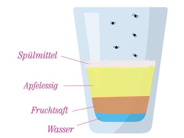 Die besten Produkte zur fruchtfliegenfreien Küche Die besten Produkte zur fruchtfliegenfreien Küche