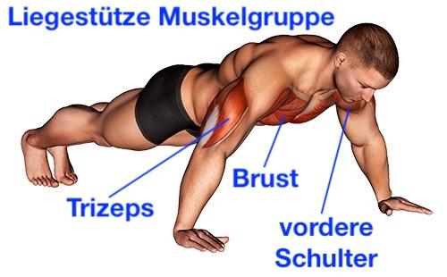 Liegestütze: Die besten Übungen für einen starken Körper Liegestütze: Die besten Übungen für einen starken Körper