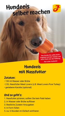Abkühlung für den Vierbeiner: Selbstgemachtes Hundeeis Abkühlung für den Vierbeiner: Selbstgemachtes Hundeeis
