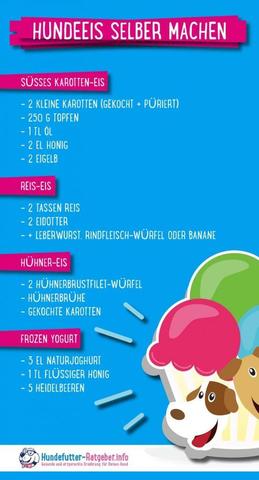 Leckere Rezepte für selbstgemachtes Hundeeis Leckere Rezepte für selbstgemachtes Hundeeis