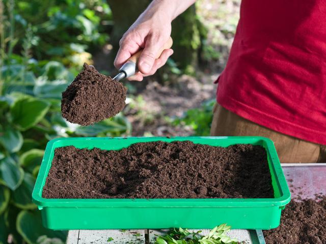 Sparen beim Gärtnern: Anzuchterde kostengünstig selbst mixen
