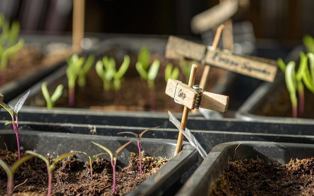 DIY-Anzuchterde: So stellen Sie Ihre eigene Mischung her