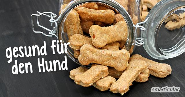 Leckere DIY-Hundeleckerlies: Günstig, gesund und umweltfreundlich Leckere DIY-Hundeleckerlies: Günstig, gesund und umweltfreundlich