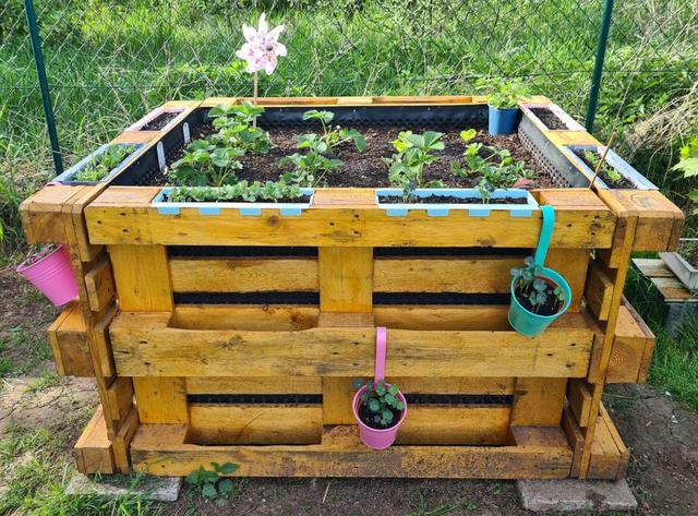 Einfache und kostengünstige Hochbeete aus Paletten selber bauen Einfache und kostengünstige Hochbeete aus Paletten selber bauen