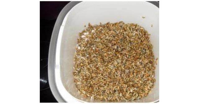 Gesund und lecker: Eigenes Backmalz zubereiten