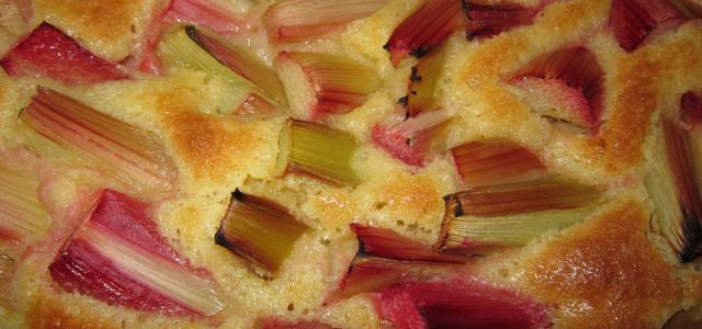 Schritt-für-Schritt-Anleitung: Rhabarbersirup selber machen