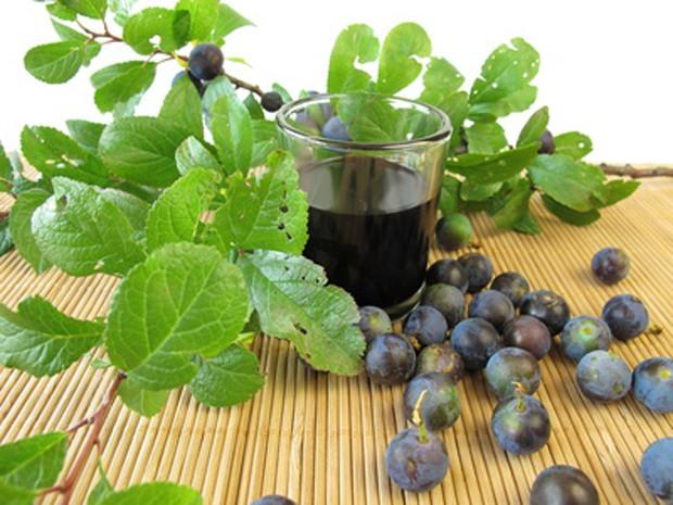 Schlehenlikör selber machen: Einfaches Rezept für fruchtigen Genuss Schlehenlikör selber machen: Einfaches Rezept für fruchtigen Genuss