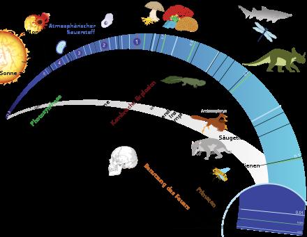 Die Rolle von Einzellern in der Evolution des Lebens auf der Erde Die Rolle von Einzellern in der Evolution des Lebens auf der Erde