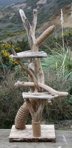 DIY: Wie Sie Ihren eigenen Kratzbaum bauen können DIY: Wie Sie Ihren eigenen Kratzbaum bauen können