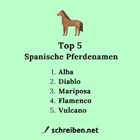 Starke und bedeutungsvolle Pferdenamen für Hengste