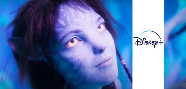 Avatar 2: Ab sofort im Stream auf Disney+ verfügbar!
