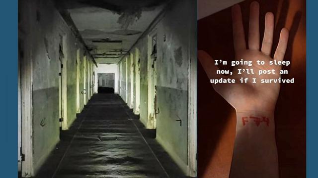 1. Alles über den F74 Trend: Was ist das? 1. Alles über den F74 Trend: Was ist das?