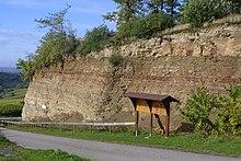 Die Entwicklung des Lebens auf der Erde: Ein bedeutendes Gebilde der unbelebten Natur