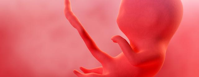 Gesundheitstipps für die 5. Schwangerschaftswoche: Ernährung, Bewegung und Folsäure Gesundheitstipps für die 5. Schwangerschaftswoche: Ernährung, Bewegung und Folsäure