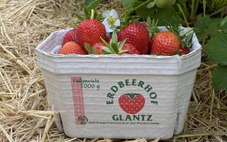 Sommergenuss pur: Erdbeeren selbst pflücken in Hamburg Sommergenuss pur: Erdbeeren selbst pflücken in Hamburg