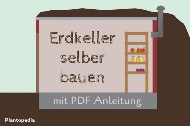 Erdkeller selber machen: Tipps und Anleitung für den Bau einer Erdmiete