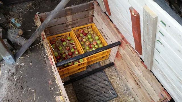 Gemüse konservieren leicht gemacht: Eine Anleitung zum Bau einer Erdmiete