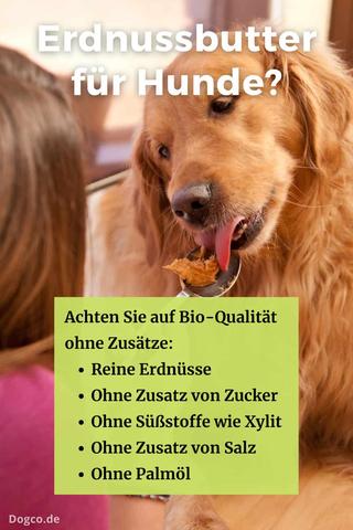 Erdnussbutter und Hunde: Tipps zur sicheren Verwendung Erdnussbutter und Hunde: Tipps zur sicheren Verwendung