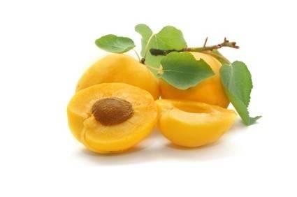 Die Marille: Ein Sommerobst mit besonderem Geschmackserlebnis