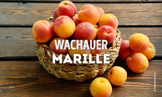 Entdecken Sie die Welt der Marillen: Geschichte, Sorten und Anbau