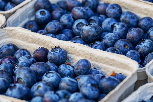 Erleben Sie Entspannung pur: Blaubeeren selber pflücken inmitten der Natur Erleben Sie Entspannung pur: Blaubeeren selber pflücken inmitten der Natur