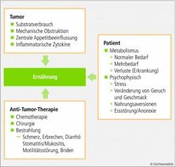 Ernährungstipps für Krebspatienten: Was sollten sie nicht essen? Ernährungstipps für Krebspatienten: Was sollten sie nicht essen?