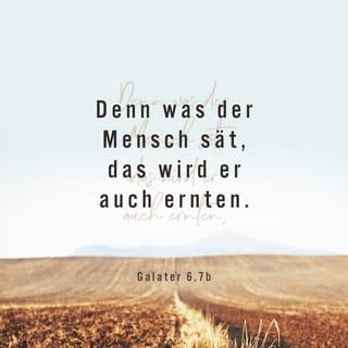 Überlegungen zur Ernte: Mehr als nur säen, warten und ernten Überlegungen zur Ernte: Mehr als nur säen, warten und ernten