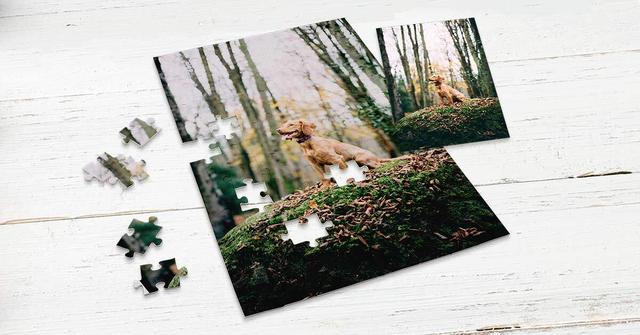 Kreatives Geschenk mit persönlicher Note: Fotopuzzle einfach selbst gestalten Kreatives Geschenk mit persönlicher Note: Fotopuzzle einfach selbst gestalten