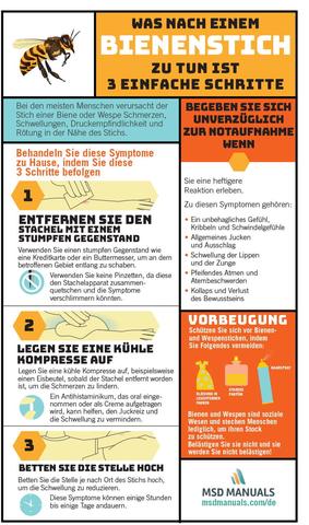 Behandlung von Bienenstichen: Schritt für Schritt erklärt Behandlung von Bienenstichen: Schritt für Schritt erklärt