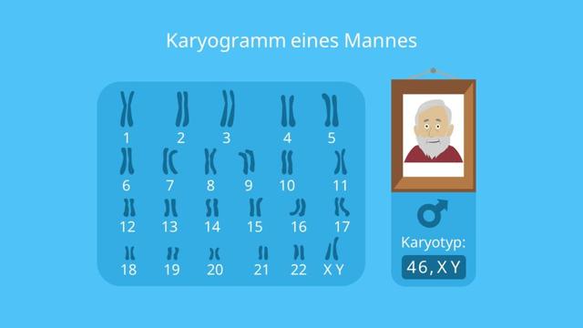 Genetische Erkrankungen erkennen mit Hilfe eines Karyogramms Genetische Erkrankungen erkennen mit Hilfe eines Karyogramms