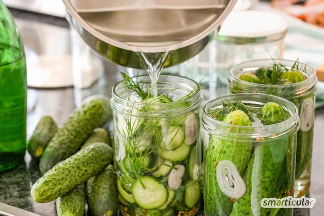 Köstliche saure Gurken selbst gemacht: So gelingen die besten Essiggurkerl