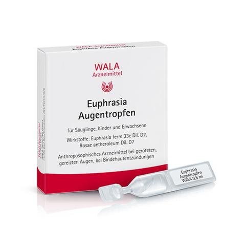 Euphrasia Augentropfen: Richtige Anwendungshäufigkeit im Blick behalten Euphrasia Augentropfen: Richtige Anwendungshäufigkeit im Blick behalten