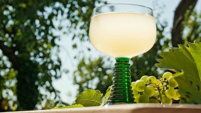 Genieße den Herbst mit selbstgemachtem Federweißer